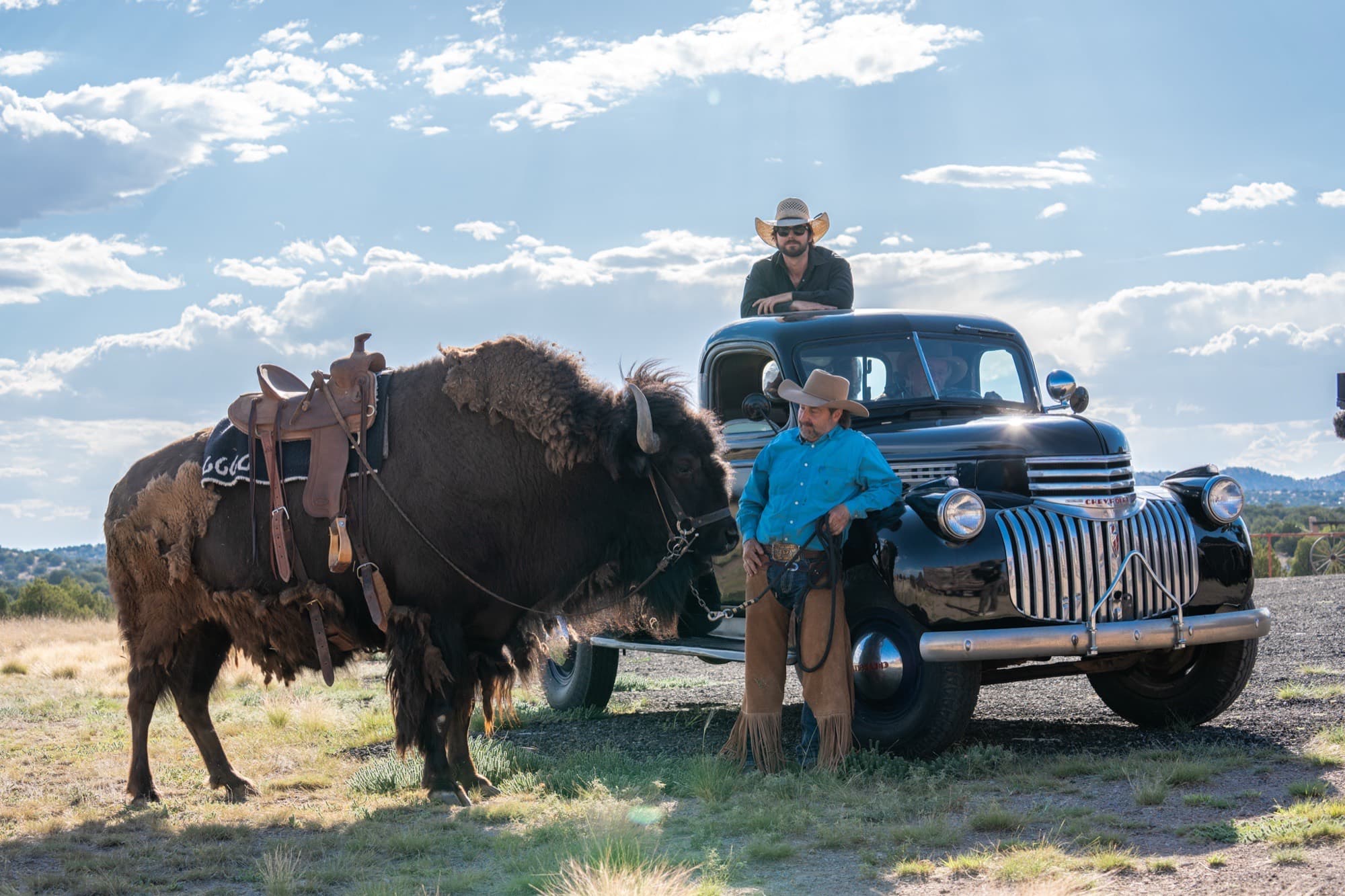 Clyde the buffalo on a lead beside a vintage truck, riders sitting on the hood
